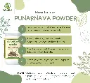 punarnava3.webp