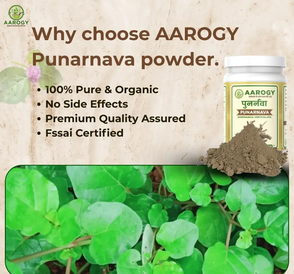 punarnava4.webp