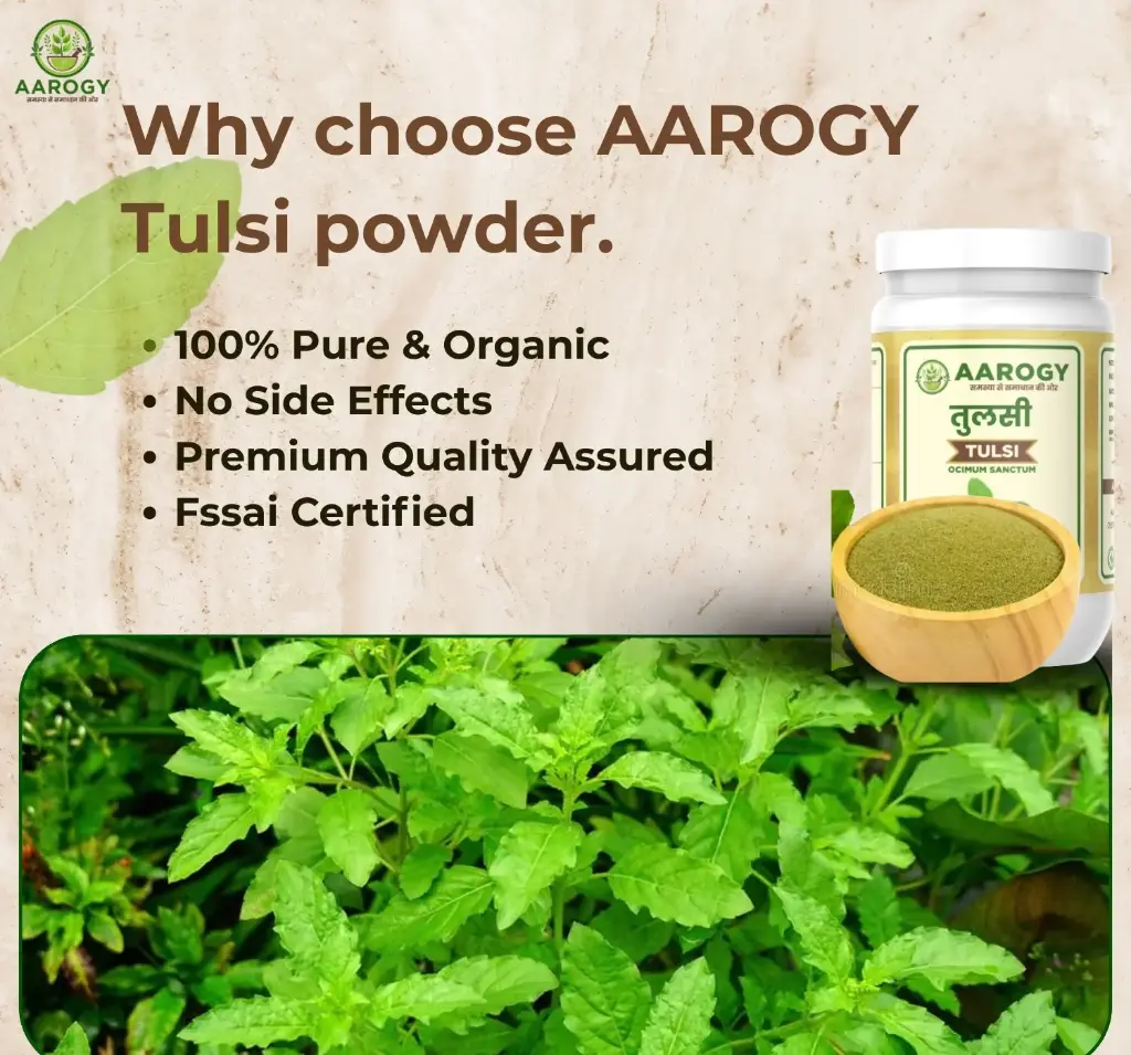 tulsi4.webp