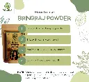 BRINGRAJ POWDER5.webp