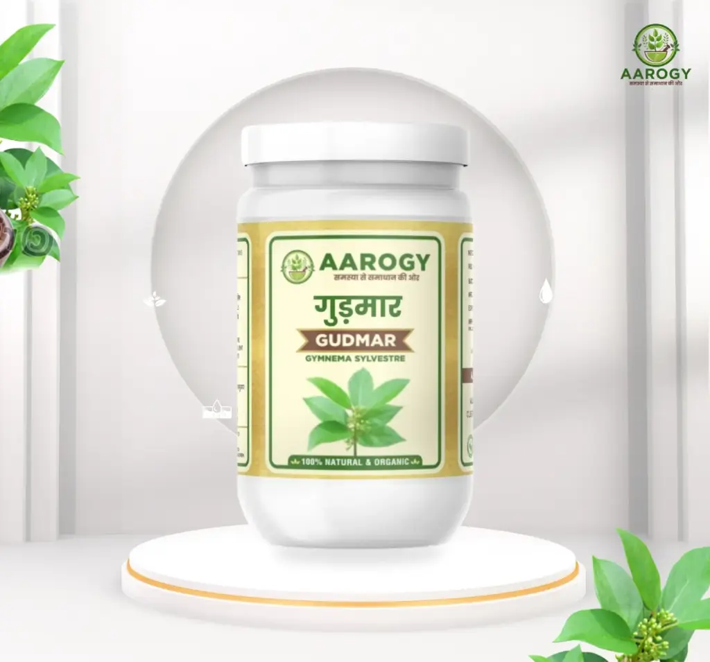 Aarogy Ayurveda Gudmar Powder – 100gm