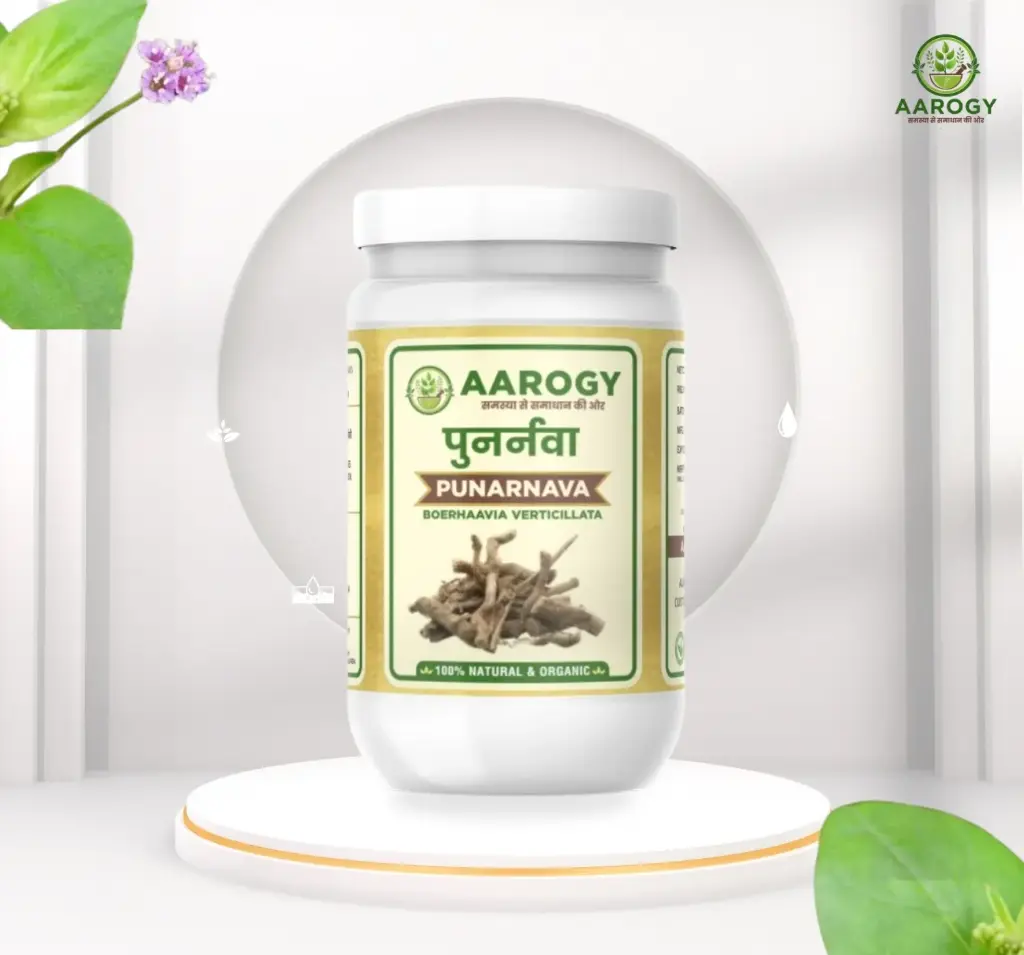 Aarogy Ayurveda Punarnava Powder – 100gm